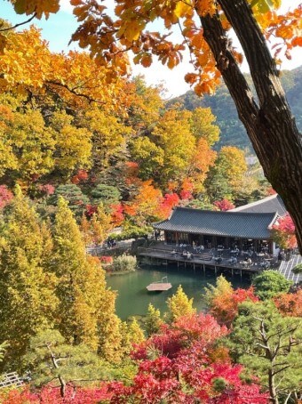 모노레일 예약 방법