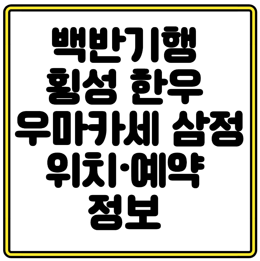 백반기행 방영 횡성 한우 우마카세 삼정 위치·예약 정보 완벽 안내