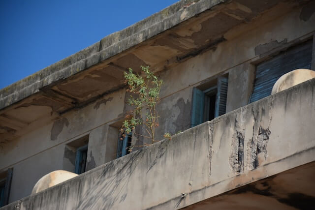 전입세대 확인서 인터넷 발급