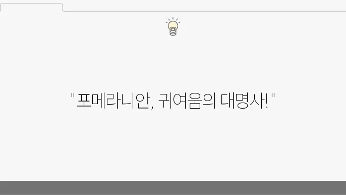 포메라니안의 매력, 사랑하는 반려견!