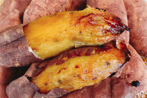 호박고구마효능13