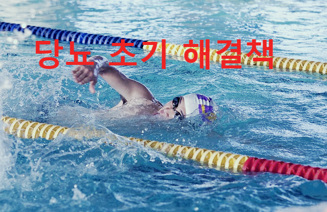 당뇨 초기 해결책