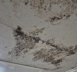 천장에-곰팡이가-생긴-사진입니다.