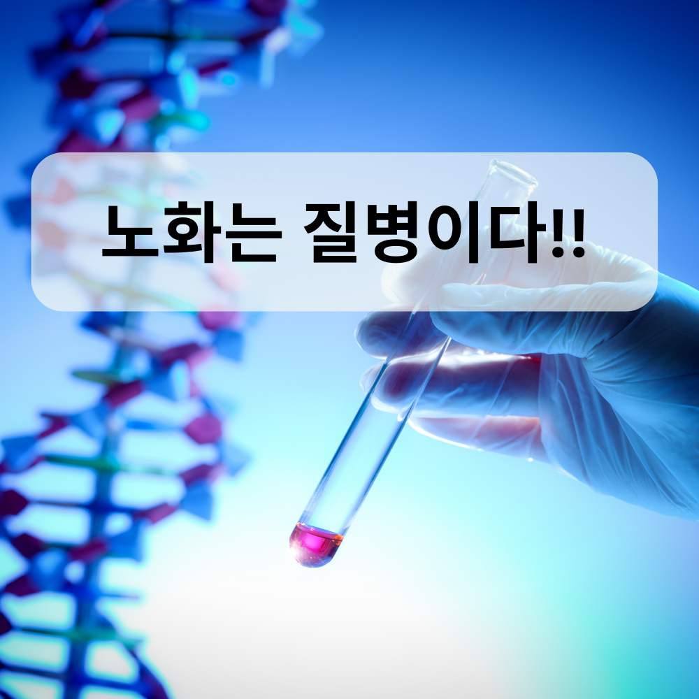 노화는 질병이다