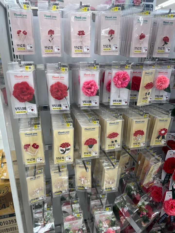 카네이션-브로치