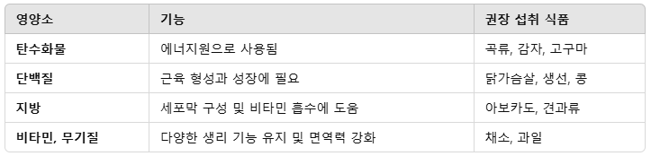 균형 잡힌 식단 구성