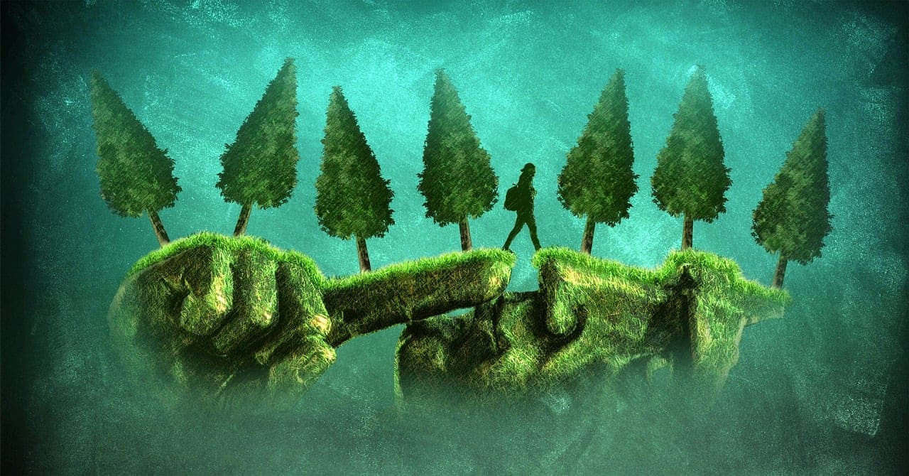 침묵의 문화는 존중일까 회피일까?