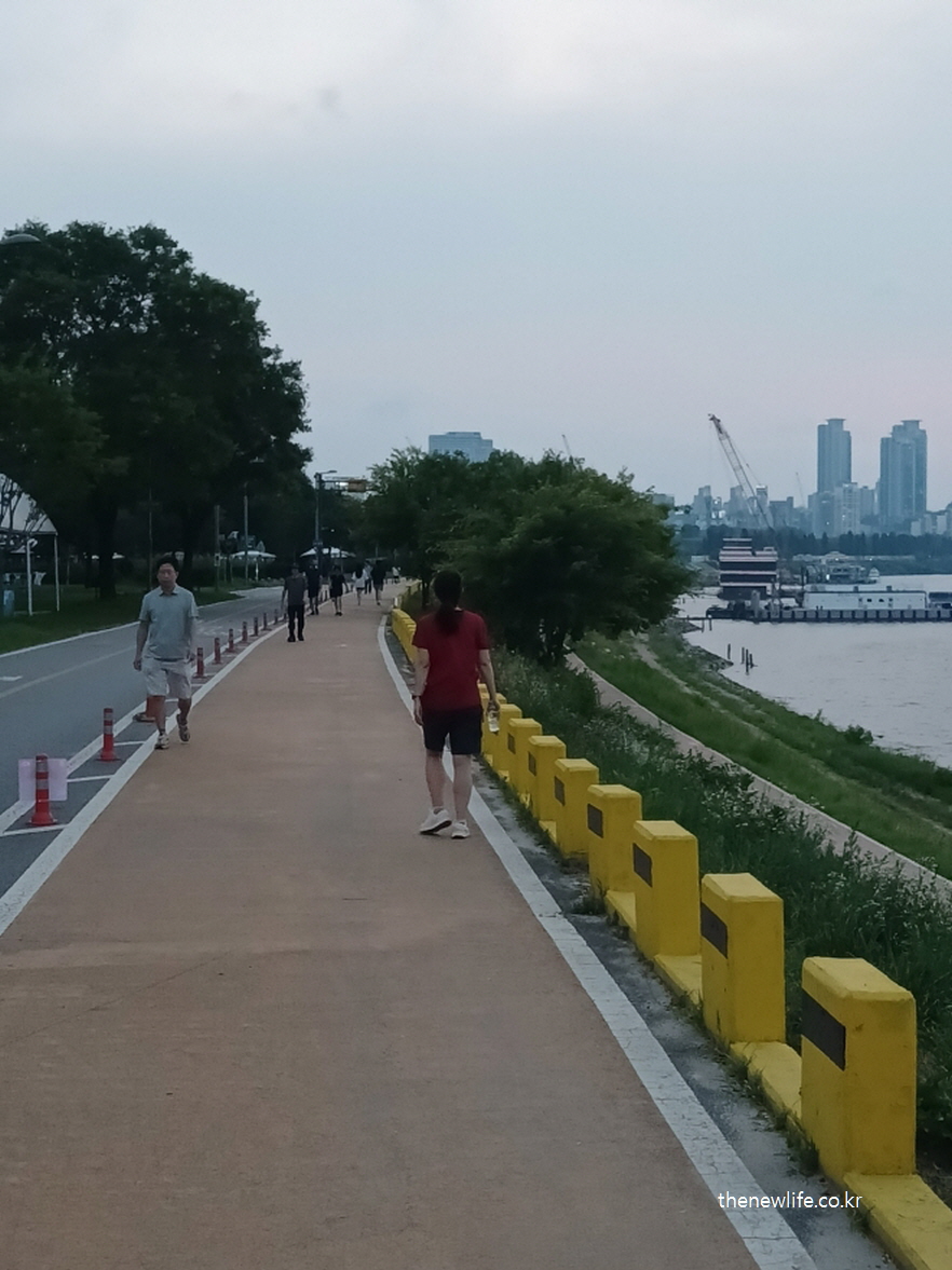 낮 시간 강변길을 걷는 사람들의 모습, 넓은 산책로와 한강 풍경이 보이는 운동 코스