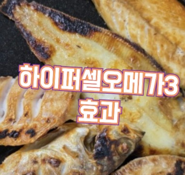 하이퍼셀오메가3-효능