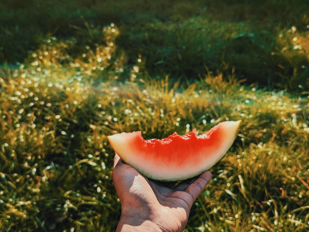 Meloni