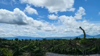 2025년 10월 넷째주일 낮예배 대표기도문 모음 예문집_22