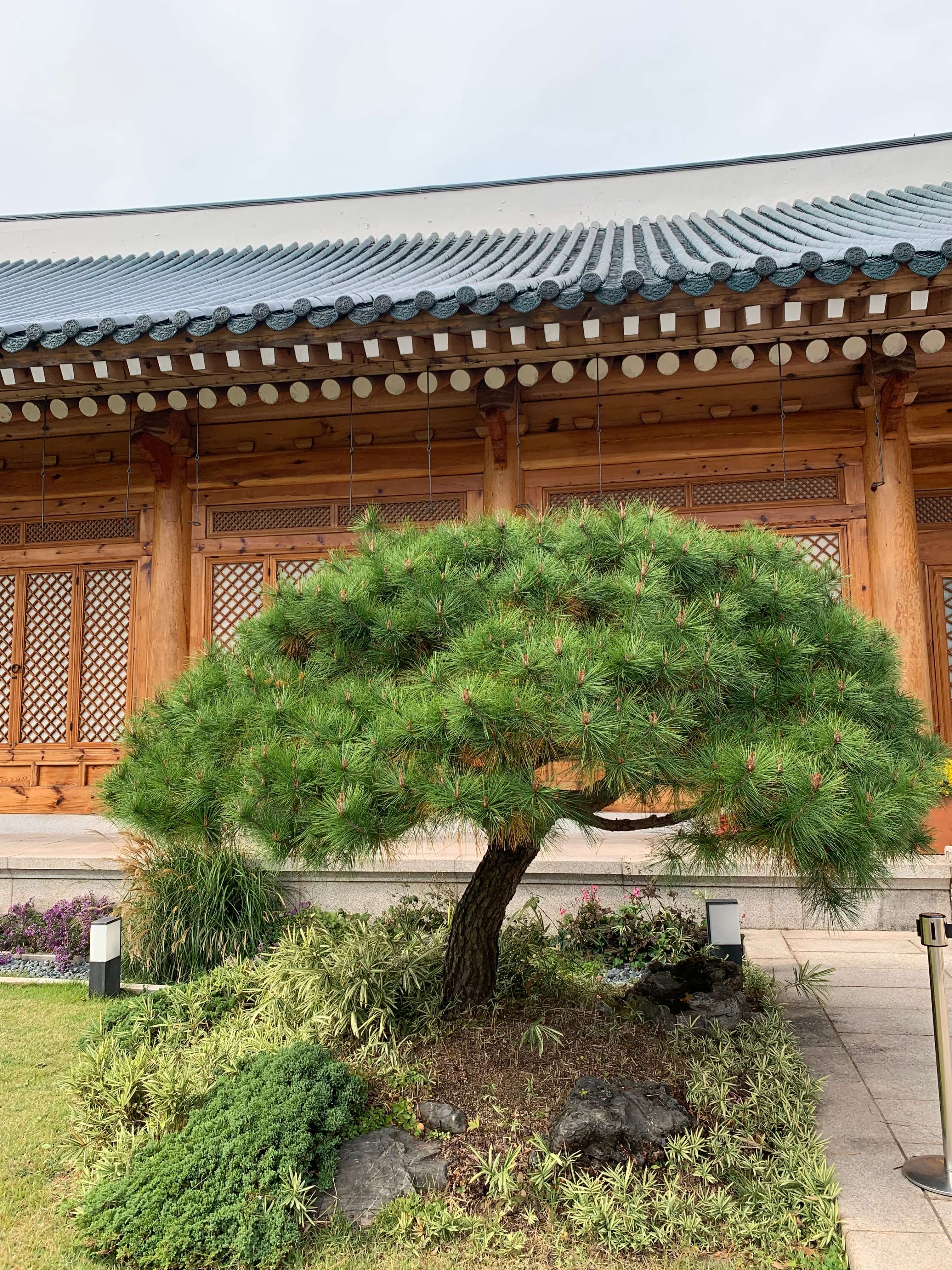 청와대-관저