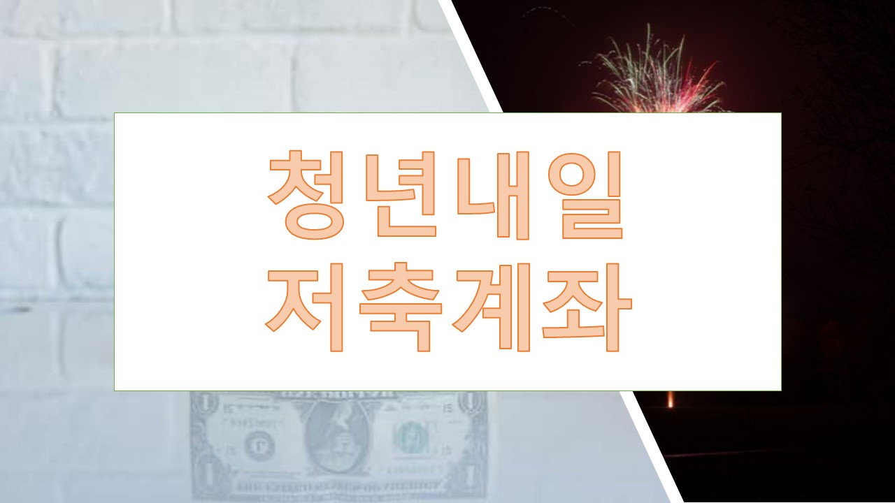 청년내일저축계좌 청년도약계좌 비교분석