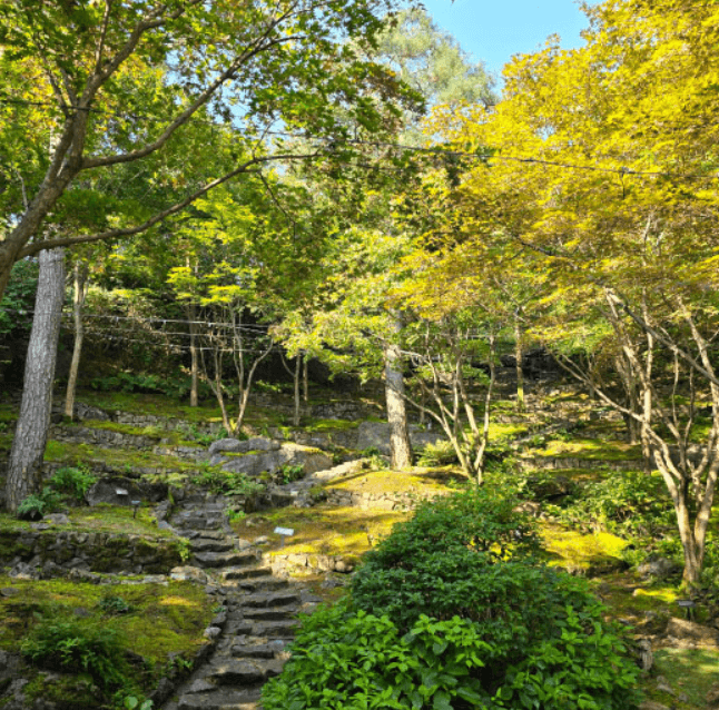 화담숲의 지금