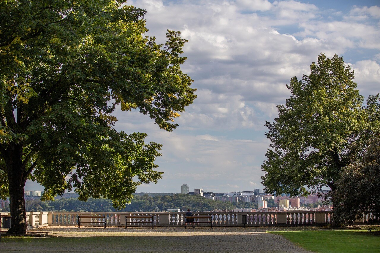 AI 기반 도시 숲 관련 시민 자원봉사 및 돌봄 프로그램