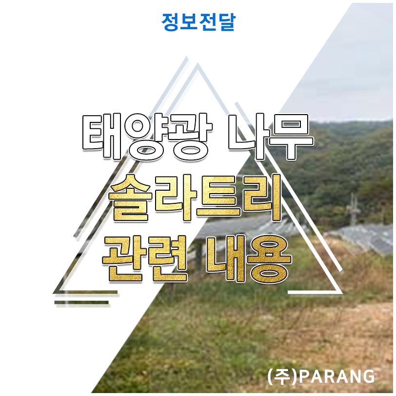 태양광 나무 솔라트리