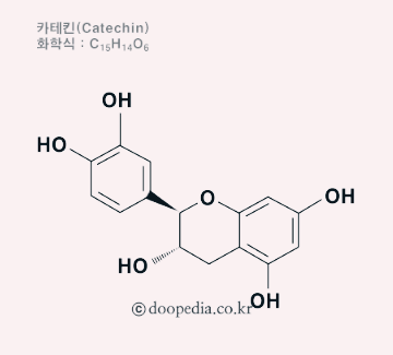 카테킨 화학식