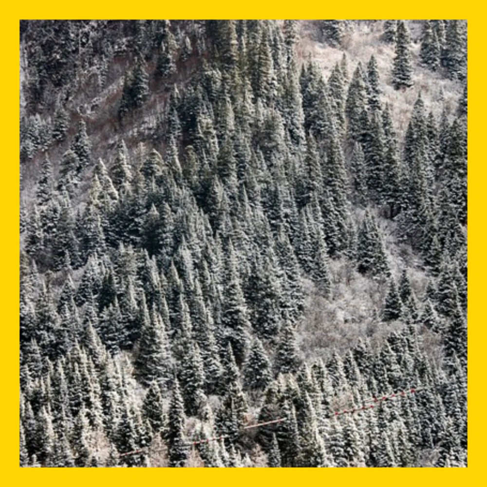 특별재난지역-선포-기준-혜택-선포지역