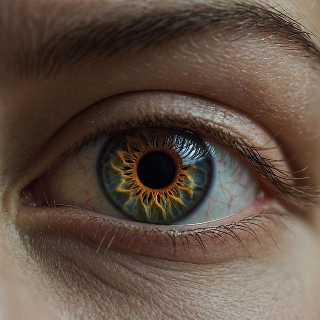 살구 효능, 달콤한 과일 속 건강 비밀6