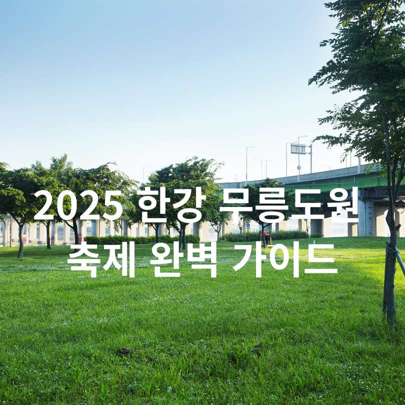 2025 한강 무릉도원 축제 완벽 가이드