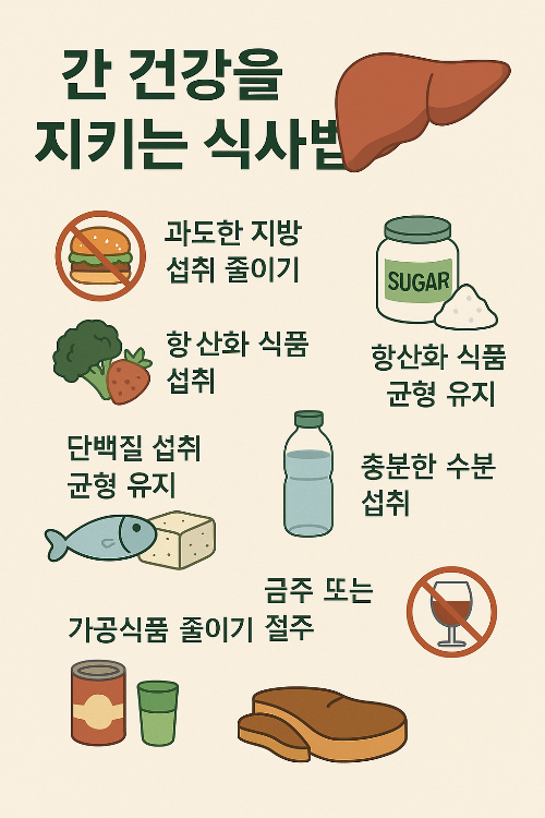간 건강을 지키는 식사법 요약 내용 사진