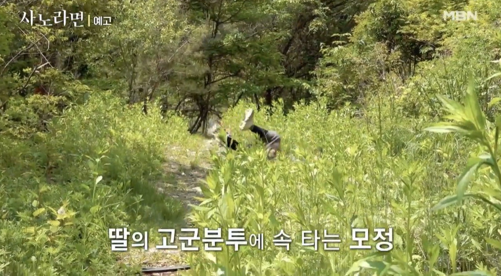 사노라면 구룡령 삼대모녀 식당