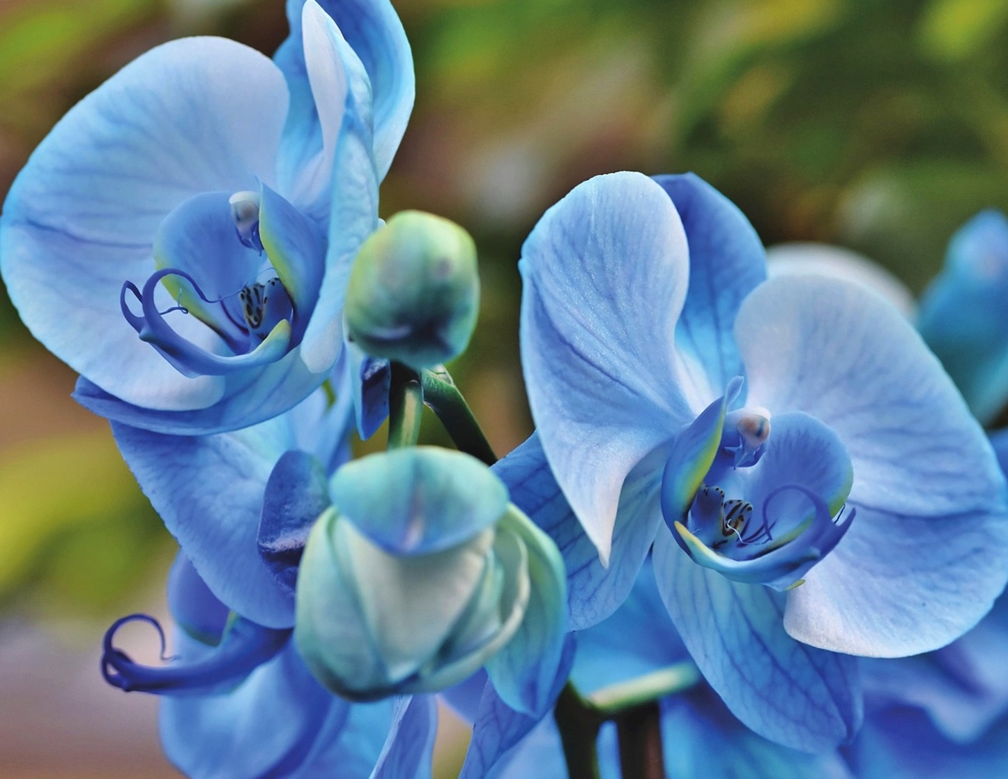 기후 재난 시대&amp;#44; 부동산 가격을 결정하는 기준이 바뀌고 있다