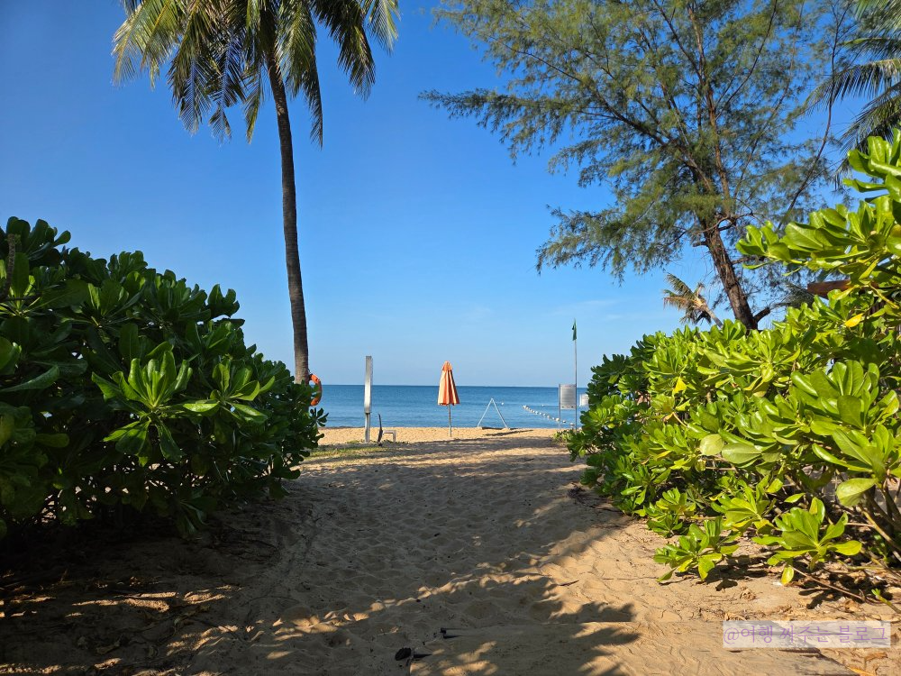 #소나시 비치바