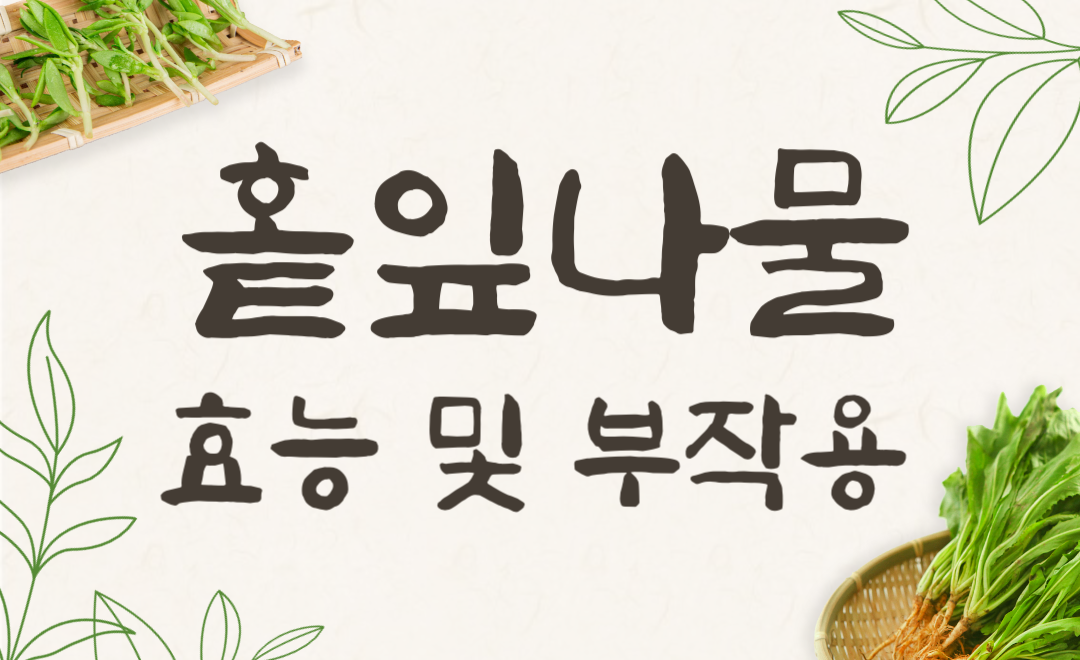 홑잎나물 효능과 부작용