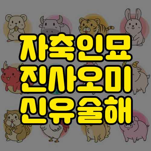 자축인묘진사오미신유술해