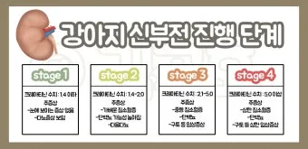 강아지 신부전에 좋은 음식 추천_13