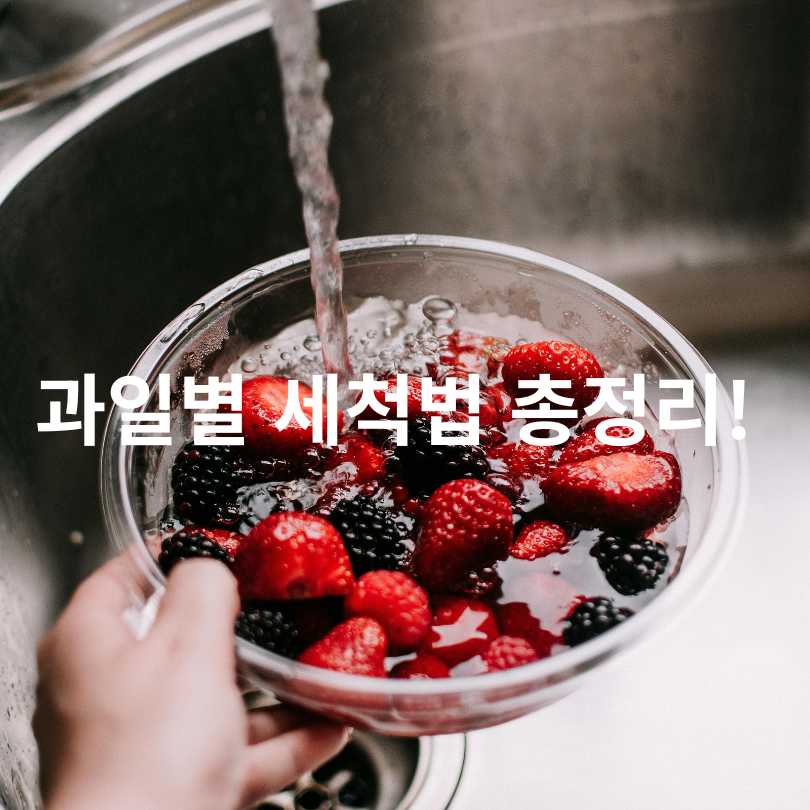 과일별 세척법 총정리