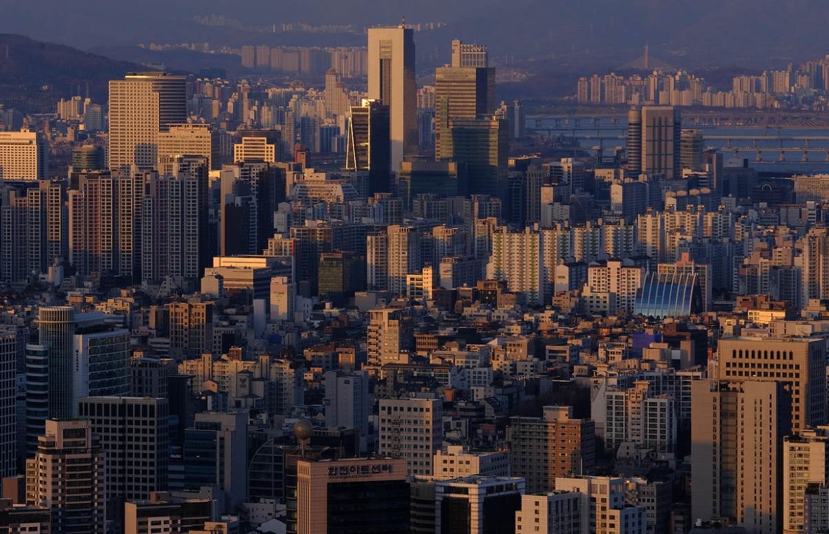 빌딩 숲