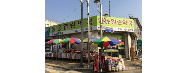양평군 약국