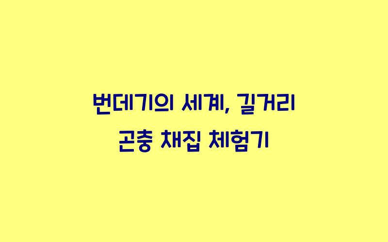 번데기의 세계: 길거리에서 찾아본 곤충 이야기