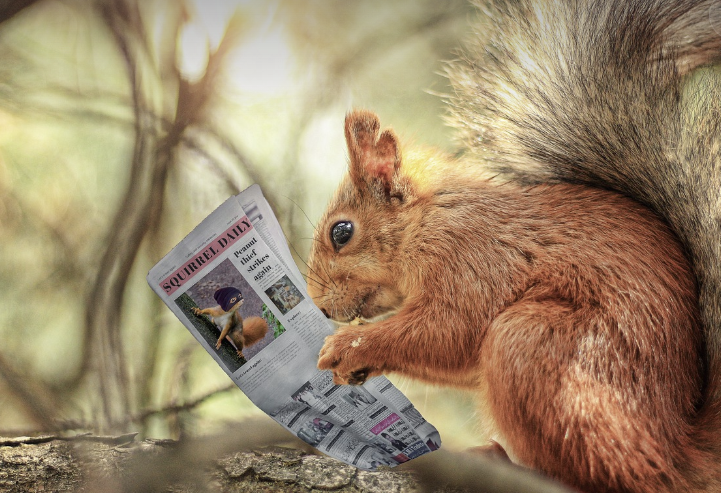 스마트폰 없이 아이와 시간 보내는 놀이