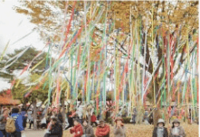 가을의 풍요로움, 여주 오곡나루축제