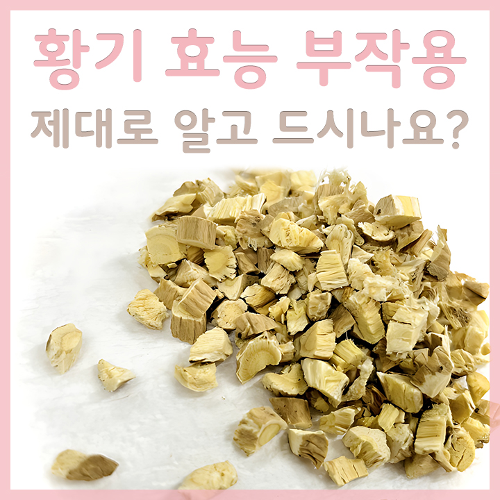 황기의-모습