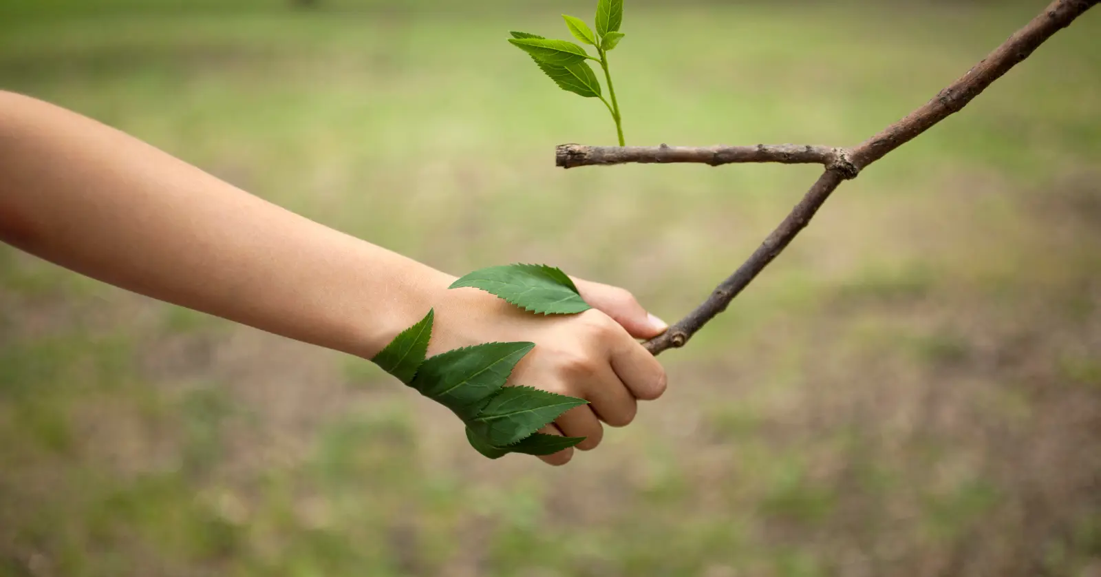 음식물처리기 지원금 조건