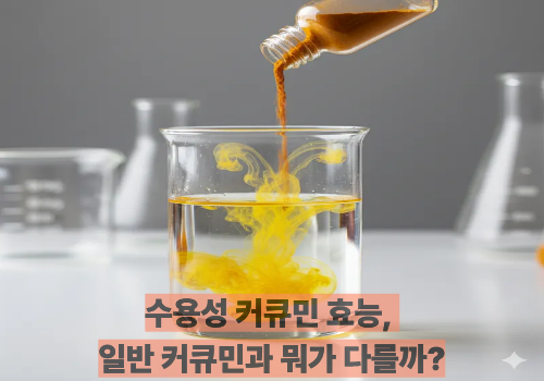 수용성 커큐민 효능, 일반 커큐민과 뭐가 다를까?