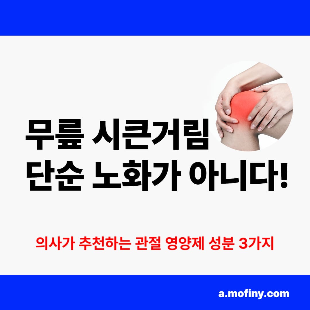 관절 통증에 좋은 영양제