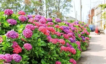 6월 제주도 아이와 함께 가볼만한곳 10곳 완벽 추천 리스트_14