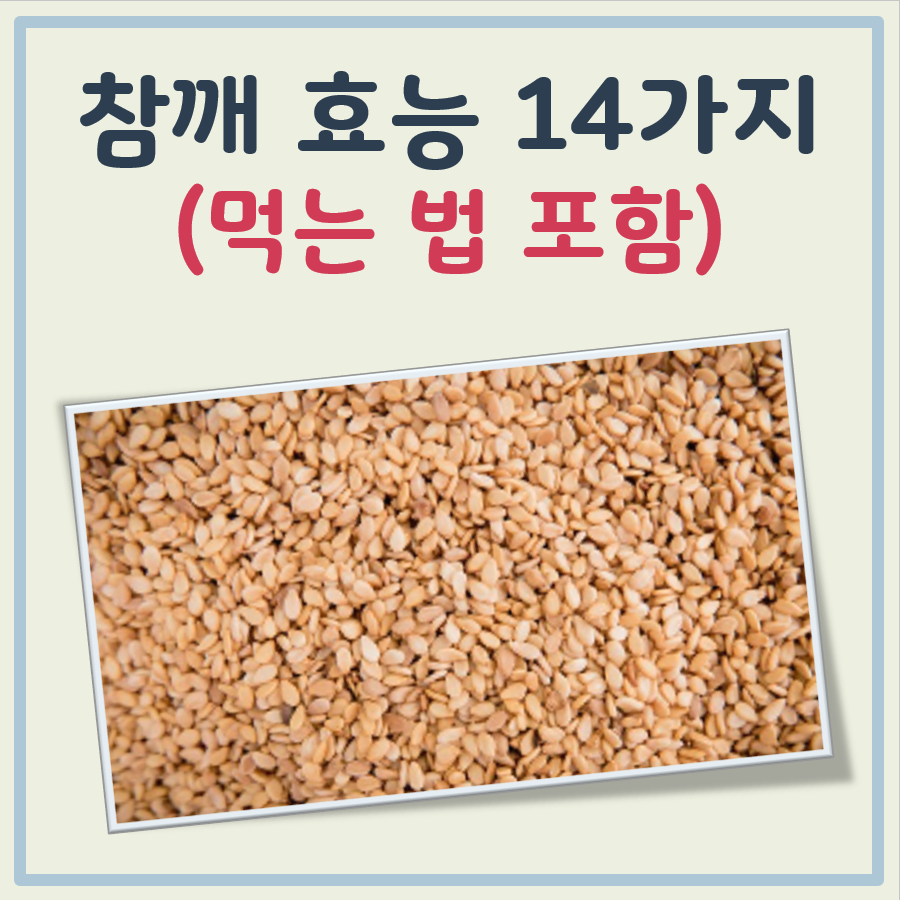 참깨 효능 무시못할 14가지
