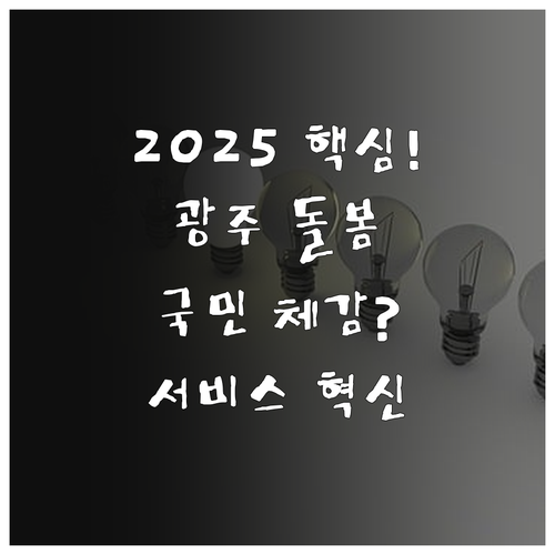 광주 돌봄 사례로 본 2025 국민 ..