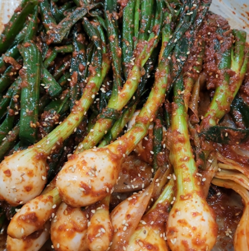 줄기양파김치 담그는 법