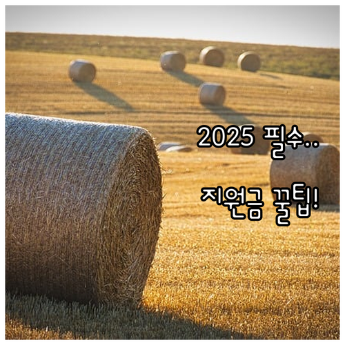 전북 가축재해보험 지원금 2025: ..