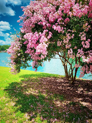 2025년 국세청 미수령 환급금 조회 방법