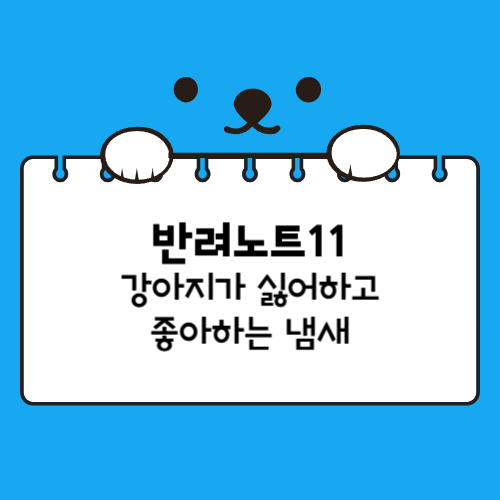 강아지가 싫어하는 냄새와 좋아하는 냄새