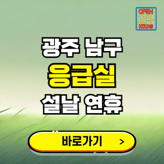 광주 남구 설날 연휴 비상진료 응급실 병원 찾기 ❘ 내근처 24시 야간 심야 휴일 가능한 곳