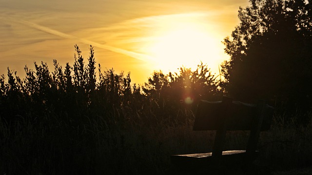 아침에 상쾌하게 깨는 법